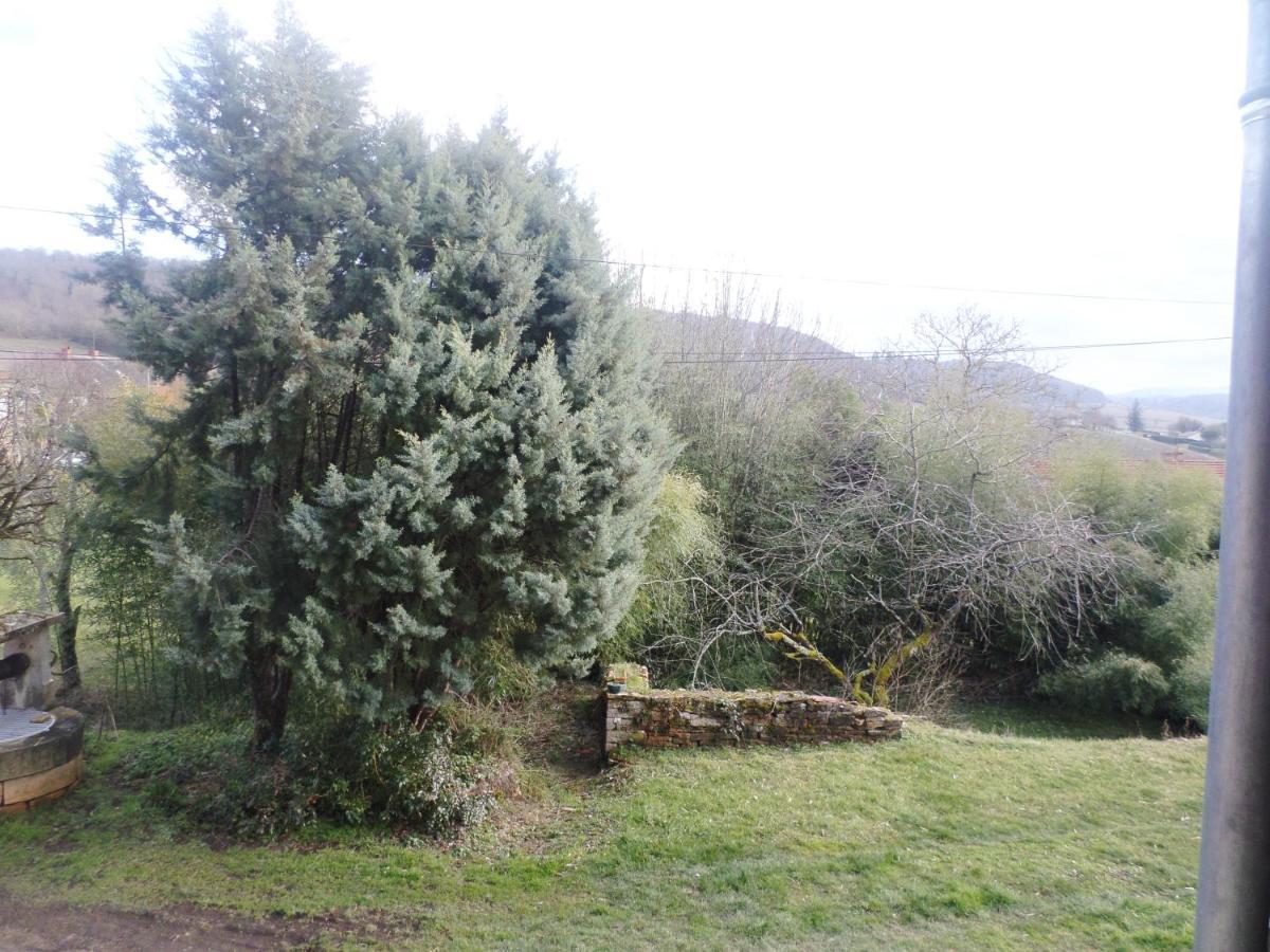Les Marronniers Bed & Breakfast La Chapelle-sous-Brancion Luaran gambar